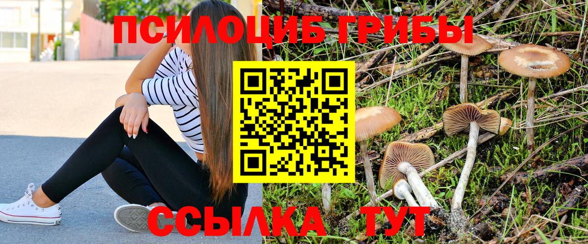 Галлюциногенные грибы прущие грибы Новокубанск