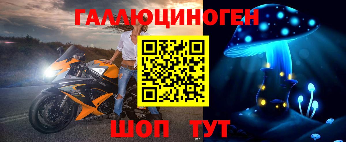 Новокубанск  Псилоцибиновые грибы MAGIC MUSHROOMS  Вход с VPN  Псилоцибиновые грибы Cubensis 
